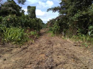 Suburban Land at Sebuku, Bau For Sale
