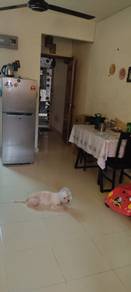 Flat Ground Floor, Taman Machang Bubok, Bukit Mertajam