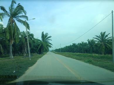 Land Zoning IND.behind KOSSAN