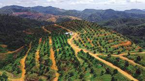 Agriculture Land SKC Bukit Beruntung Rasa