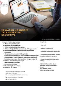 Telemarketing Executive