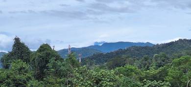 Inobong Kg gantung Mt Kinabalu view