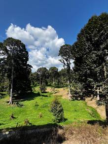 Durian Farm Agricultural Flat Land Kayau Papar KK Sabah CL9 Acres