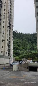 Taman Terubong Indah (Phase 2) 3-rooms 700SF Partly Furnished 1-c/cpk