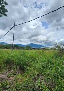 CL99 industries Land 2.4acre in KKIP