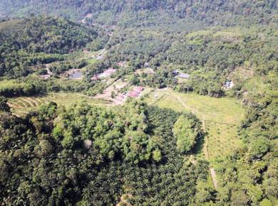 17.57 EKAR | 7.11 HEKTAR Tanah Ladang Kelapa Sawit Jempol Kuala Pilah