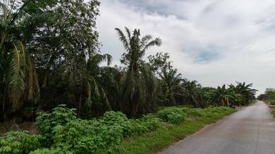 Tanah Murah Non Bumi Pontian
