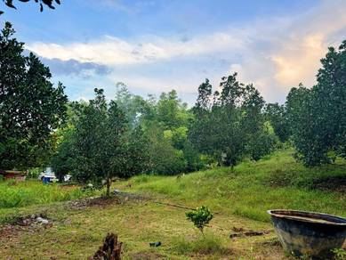 Moyan Agricultural Land For Sale