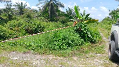 Samarahan Asajaya Sadong Land SALE