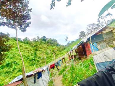 LAND AGRICULTURAL 6.5 Ekar Sungai Kuali Janda Baik Bentong Pahang