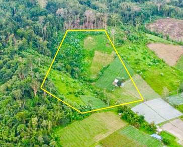 LAND AGRICULTURAL 6.5 Ekar Sungai Kuali Janda Baik Bentong Pahang