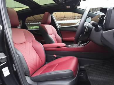 Lexus NX 250 2.5 MARK LEVINSON (12k KM ONLY)