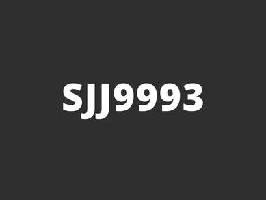 SJJ9993