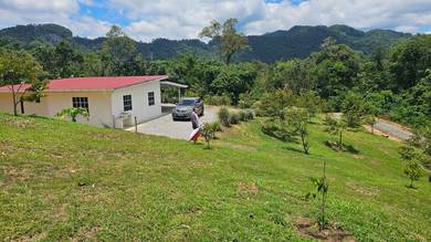 15th Mile Siburan Durian Farm Mixed Zone Land For Sale 4.01 Acres