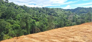 Golden Inobong Hill The only lots with greenery