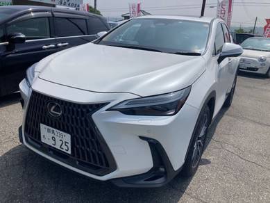 Lexus NX 250 VERSION L AWD