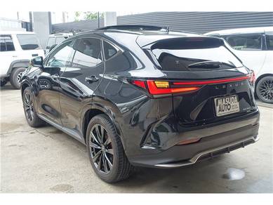 Lexus NX250 F SPORT 4WD