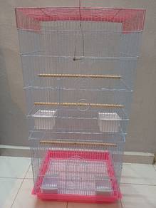 Bird cage 