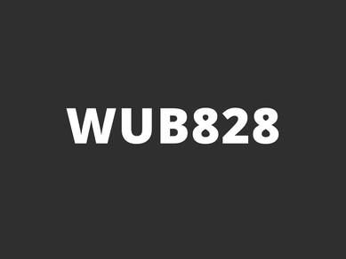 WUB828