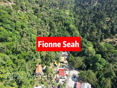 Ayer Itam Agriculture Land | 14.74 Acres | 300++ Durian Trees
