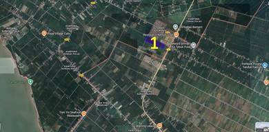 26.50 Acre Non Bumi Freehold WCE Highway Oil Palm Land Sabak Bernam