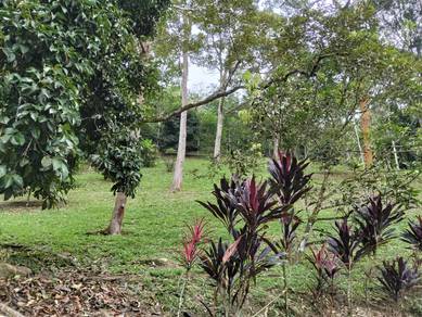 Tanah Dusun, 4 ekar, batu 17, Dusun Tua, Hulu Langat