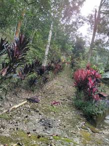 Tanah Dusun, 4 ekar, batu 17, Dusun Tua, Hulu Langat