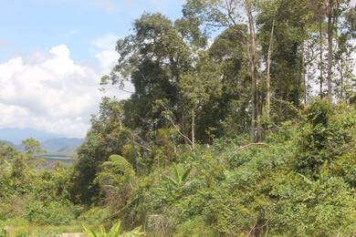 Ranau Kundasang NT Water Fall Land For Sale