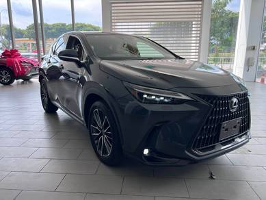 Lexus NX 250 2.5 VERSION-L LOW MILAGE