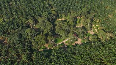 Kota Tinggi 2.7 Acres Land