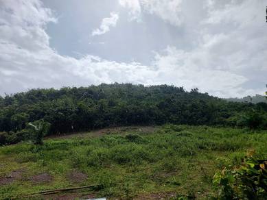 Tanah Pertanian Murah Di Sungai Semiar Jeneri Sik Kedah 10 ACRE