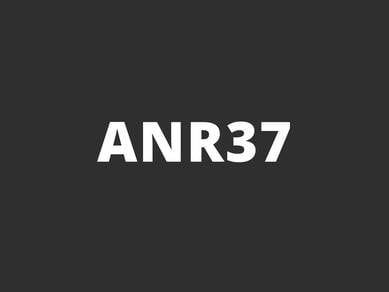 ANR37
