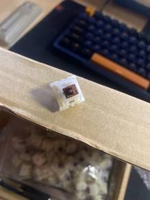 GATERON brown switches (81)