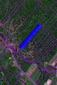Land for SALE at Bintangor  📐 Size: 4.897 acres  🍃 Mixed Zone Land