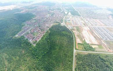 Agriculture Land for Sale in Sungai Petani, Kedah