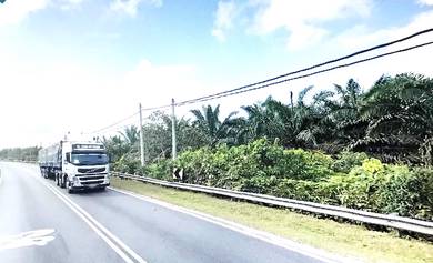 Mature Oil Palm Estate Mainroad, 2,300 acres. Rompin. Pahang