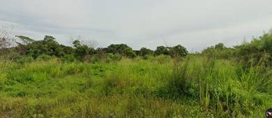 Agriculture Land for Sale – Sungai Lalang, Sungai Petani
