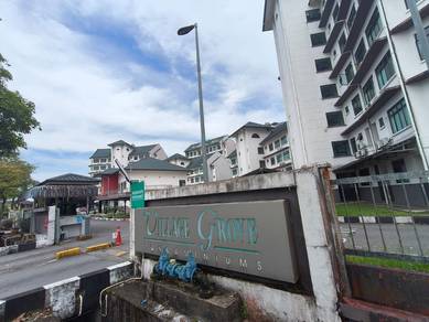 Village Grove Condominium