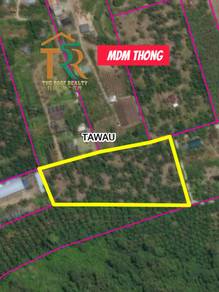 Oil palm | 10.795 acs | for sale