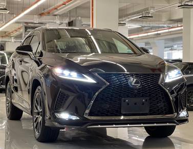 Lexus 2.0 RX300 F-SPORT