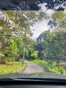 18.4 Acres Agricutural Land in Sg Pinang Penang
