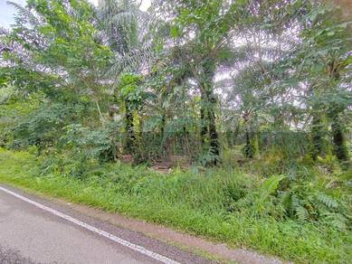 Kulai Agriculture Land