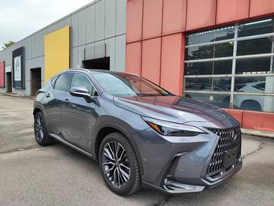 Lexus NX250 2.5 LUXURY MY22 (A) Paronama roof