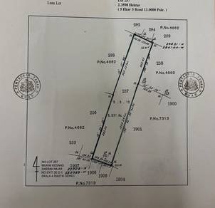 Johor Muar Kesang Freehold 5 Acres Agriculture Land Facing Main Road