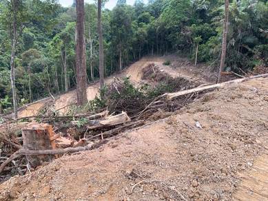 Broga Negeri Sembilan Tanah untuk Dijual