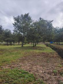 Riverfront Property   Durian Farm For Sale (Moyan, Batu Kawa)