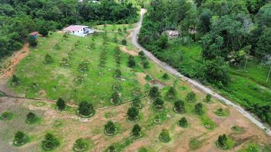 Durian farm Land For Sale  📍15 mile Siburan, Sungai Sentah Kuching