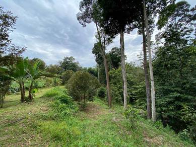 Tanah murah ada anak sungai , pokok durian di Hulu Langat utk dijual‼️