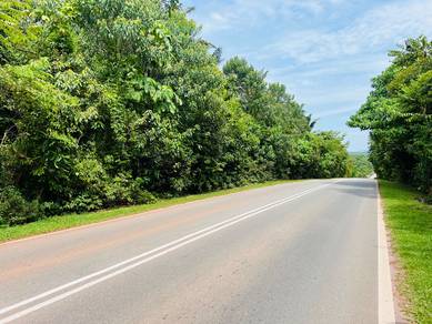 Durian Tunggal freehold land for sale