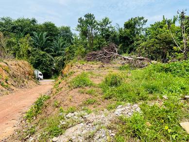Durian Tunggal freehold land for sale